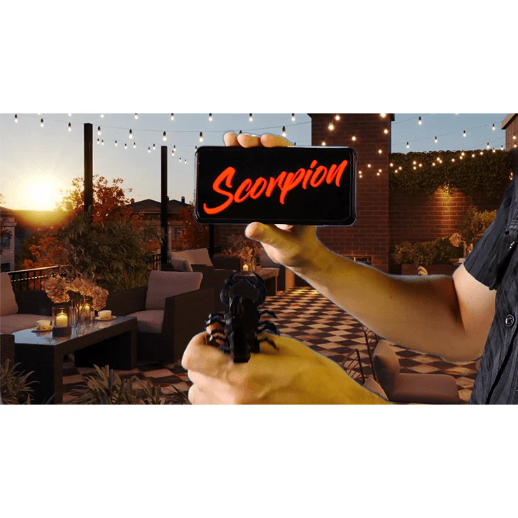 Thumbnail 4